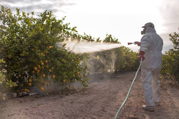 Emergency Pest Control in Sand Point, AK